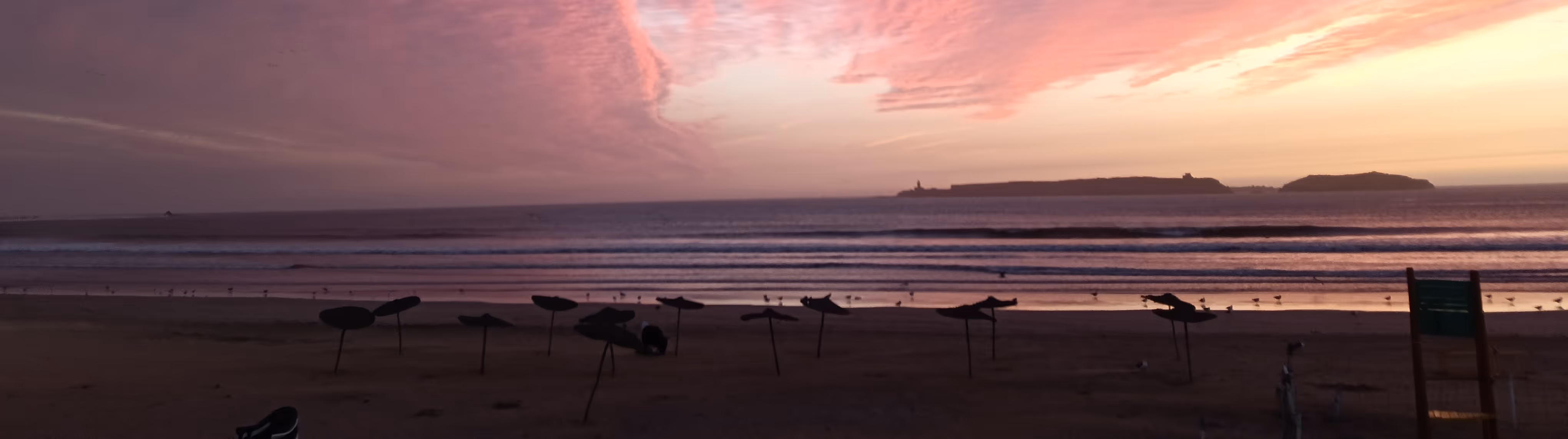 Essaouira beach at sunset with parasols and pink sky