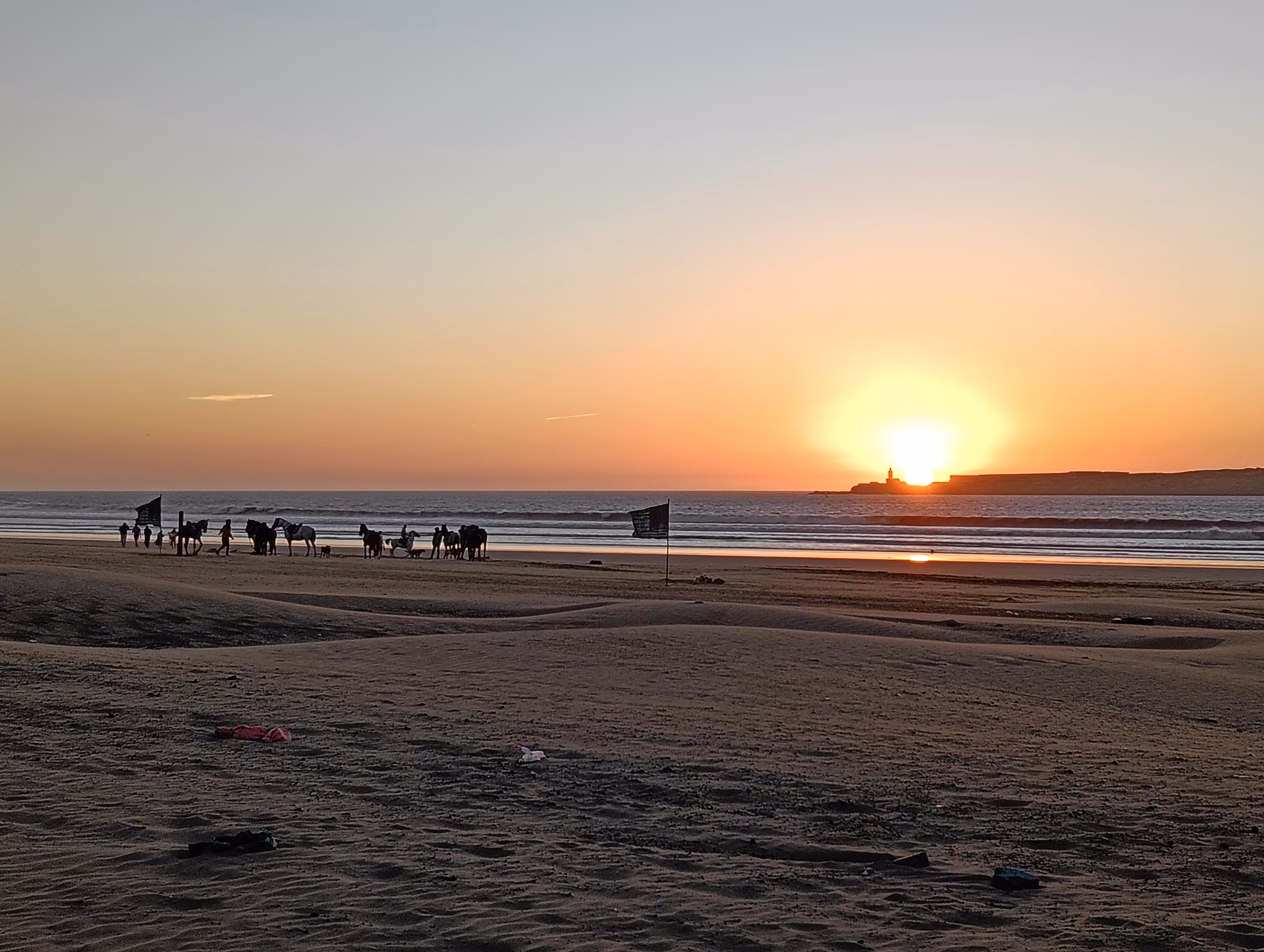 Horses and camels on Essaouira beach at sunset