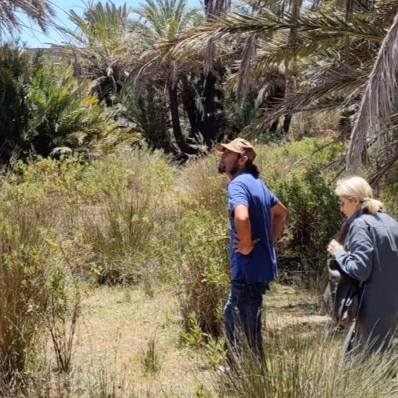 Kabir guiding a hiker through palm groves near Essaouira